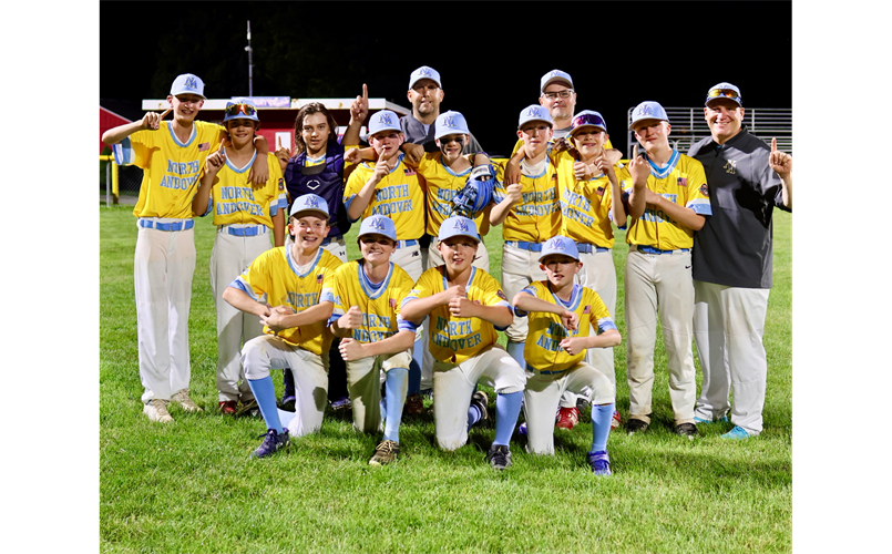 12U District Team advances to State Tournament!